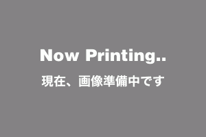prod img now printing l12
